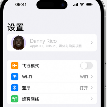 秭归appleID维修服务iPhone设置中Apple ID显示为灰色无法使用 