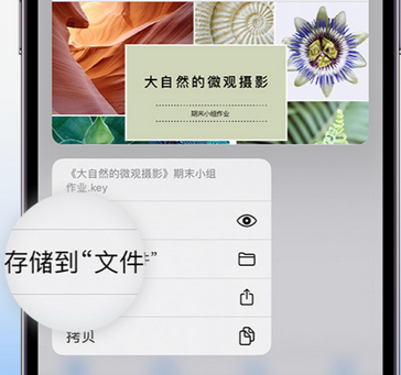 秭归apple维修中心分享iPhone文件应用中存储和找到下载文件