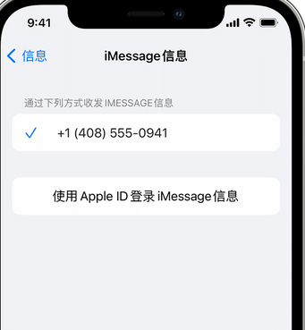 秭归apple维修iPhone上无法正常发送iMessage信息 