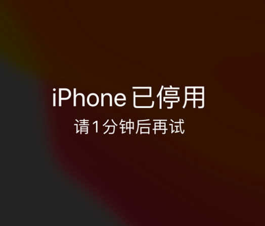 秭归苹果手机维修分享:iPhone 显示“不可用”或“已停用”怎么办？还能保留数据吗？ 