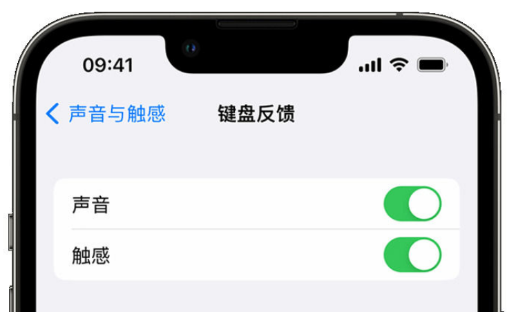 秭归苹果手机维修分享iPhone 14触感键盘使用方法 