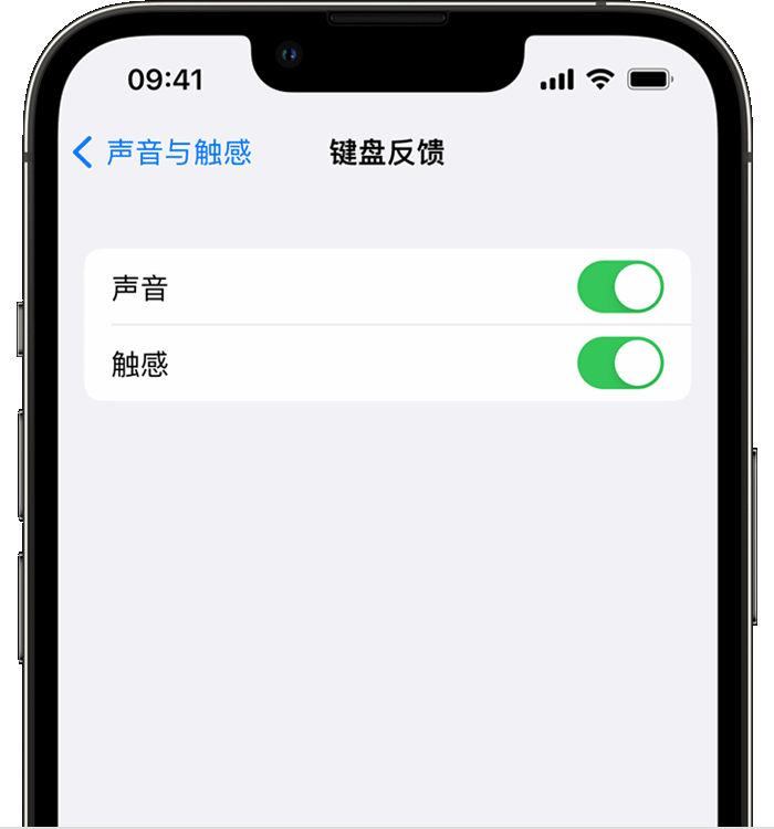 秭归苹果14维修店分享如何在 iPhone 14 机型中使用触感键盘 