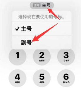 秭归苹果14维修店分享iPhone 14 Pro Max使用副卡打电话的方法 