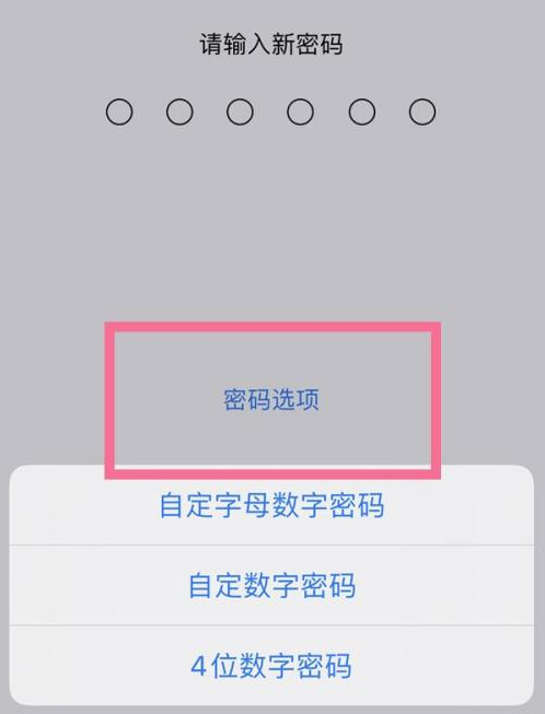 秭归苹果14维修分享iPhone 14plus设置密码的方法 