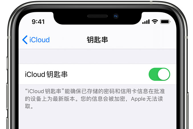 秭归苹果手机维修分享在 iPhone 上开启 iCloud 钥匙串之后会储存哪些信息 