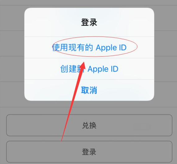 秭归苹果手机维修分享两台iPhone设备可以同时登录一个Apple ID吗 