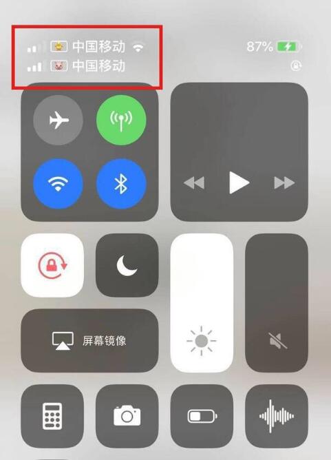 秭归苹果手机维修分享为 iPhone 12 双卡设置标签 
