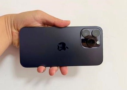 秭归苹果维修点分享iPhone 14 Pro Max黑屏少见故障盘点 